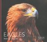 Eagles