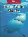 Great White Sharks