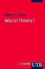 Was ist Theorie Theoriebegriff und Dialogische Theorie in den Kultur und Sozialwissenschaften