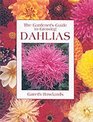 The Gardener's Guide to Growing Dahlias