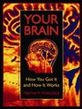 Your Brain How You Got It and How It Works
