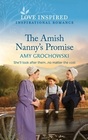 The Amish Nanny's Promise