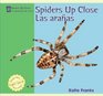Spiders Up Close/ Las Aramnas