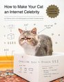 How to Make Your Cat an Internet Celebrity: A Guide to Financial Freedom