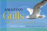 Amazing Gulls Acrobats of the Sky and Sea