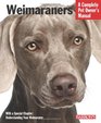 Weimaraners