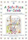 A Safe Place For Caleb An Interactive Book For Kids Teens And Adults With Issues Of Attachment Grief Loss Or Early Trauma