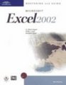 Mastering and Using Microsoft Excel 2002 Introductory Course