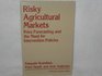 Risky Agricultural Markets Price Forecasting and the Need for Intervention Policies
