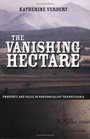 The Vanishing Hectare Property and Value in Postsocialist Transylvania