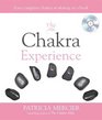 The Chakra Experience Your Complete Chakra Workshop in a Book