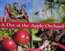 A Day at the Apple Orchard