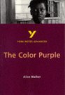 York Notes Advanced on The Color Purple by Alice Walker