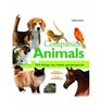 Companion Animals Their Biology Care Health and Management