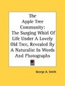 The Apple Tree Community The Surging Whirl Of Life Under A Lovely Old Tree Revealed By A Naturalist In Words And Photographs