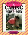 Young Rider's Guide to Caring for a Horse or Pony