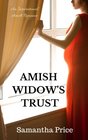 Amish Widow's Trust: Inspirational Amish Romance (Expectant Amish Widows) (Volume 16)