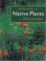 Landscaping with Native Plants of Wisconsin