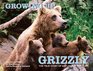 Growing Up Grizzly The True Story of Baylee and Her Cubs