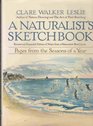 A Naturalist's Sketchbook Pages from the Seasons of a Year