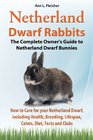 Netherland Dwarf Rabbits The Complete Owner's Guide to Netherland Dwarf Bunnies How to Care for your Netherland Dwarf including Health Breeding Lifespan Colors Diet Facts and Clubs