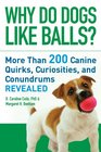 Why Do Dogs Like Balls More Than 200 Canine Quirks Curiosities and Conundrums Revealed