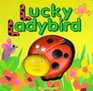 Lucky Ladybird
