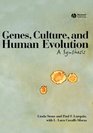 Genes Culture and Human Evolution A Synthesis