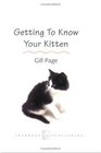 Getting To Know Your Kitten