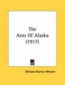 The Ants Of Alaska