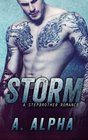 Storm A Stepbrother Romance