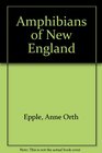 Amphibians of New England
