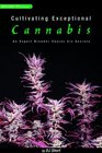 Cultivating Exceptional Cannabis: An Expert Breeder Shares His Secrets (Marijuana Tips Series)