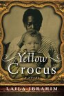 Yellow Crocus