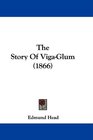 The Story Of VigaGlum