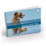 Healthy Mouth Healthy Pet Why Dental Care Matters