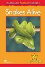 Macmillan Factual Readers Snakes Alive