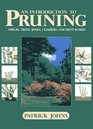 An Introduction to Pruning
