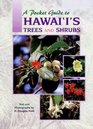 A Pocket Guide to Hawai'i's Trees and Shrubs