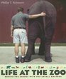 Life at the Zoo Behind the Scenes with the Animal Doctors