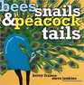 Bees Snails  Peacock Tails