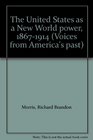 The United States as a New World power 18671914
