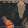 2007 American Quarter Horse Calendar