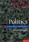 Politics A Very Short Introduction