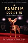 A Famous Dog's Life The Story of Gidget America's Most Beloved Chihuahua