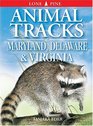 Animal Tracks of Maryland Delaware  Virginia