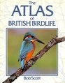 Atlas of British Bird Life