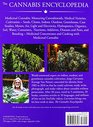 The Cannabis Encyclopedia The Definitive Guide to Cultivation  Consumption of Medical Marijuana