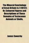 The Mineral Conchology of Great Britain  Or Coloured Figures and Descriptions of Those Remains of Testaceous Animals or Shells