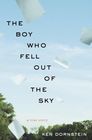 The Boy Who Fell Out of the Sky  A True Story